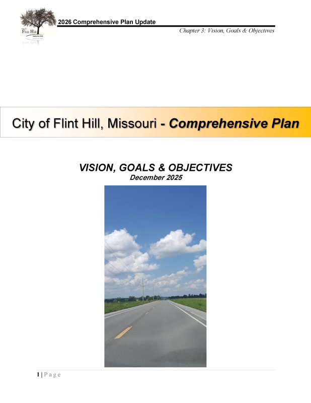 Chapter 3 - Vision Goals