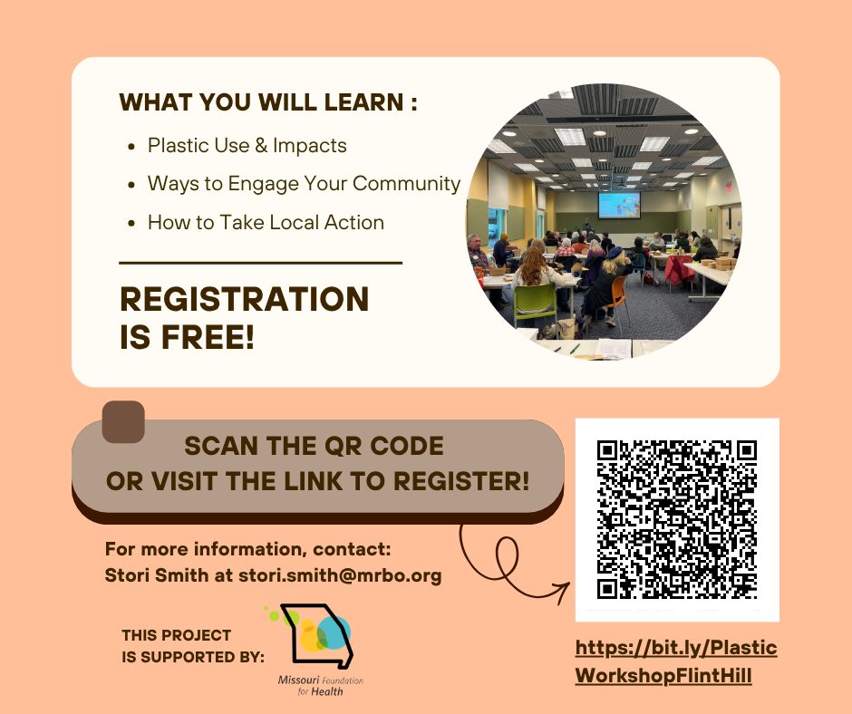 Show Me Less Plastic Workshop