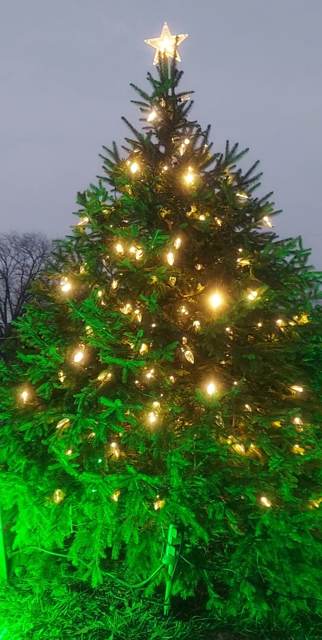 2025 Christmas Festival and Tree Lighting